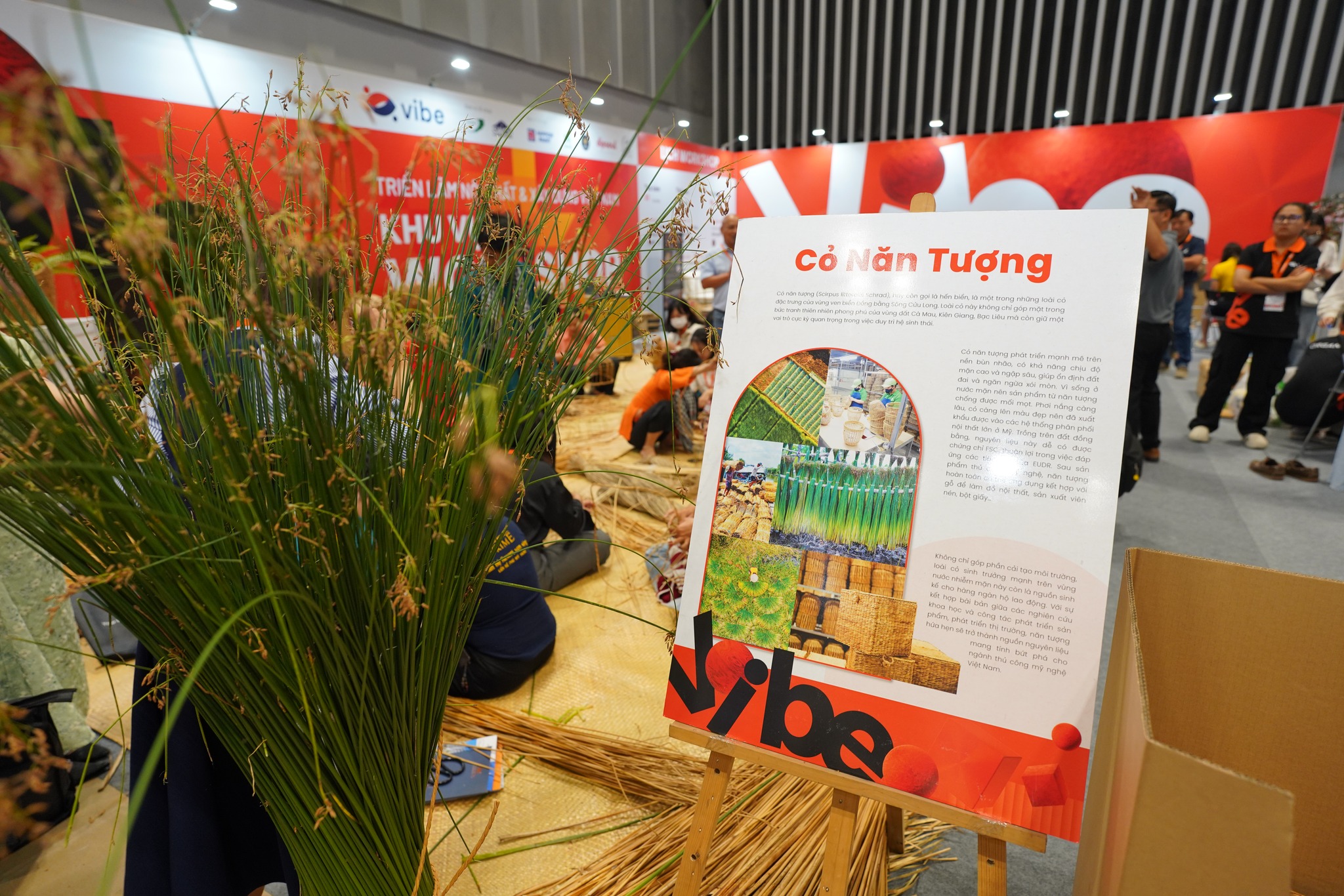 TRI ÂN CÁC ĐƠN VỊ ĐỐI TÁC ĐỒNG HÀNH CÙNG CÁC HOẠT ĐỘNG TẠI VIBE 2024 5 1 20241021152300902 10