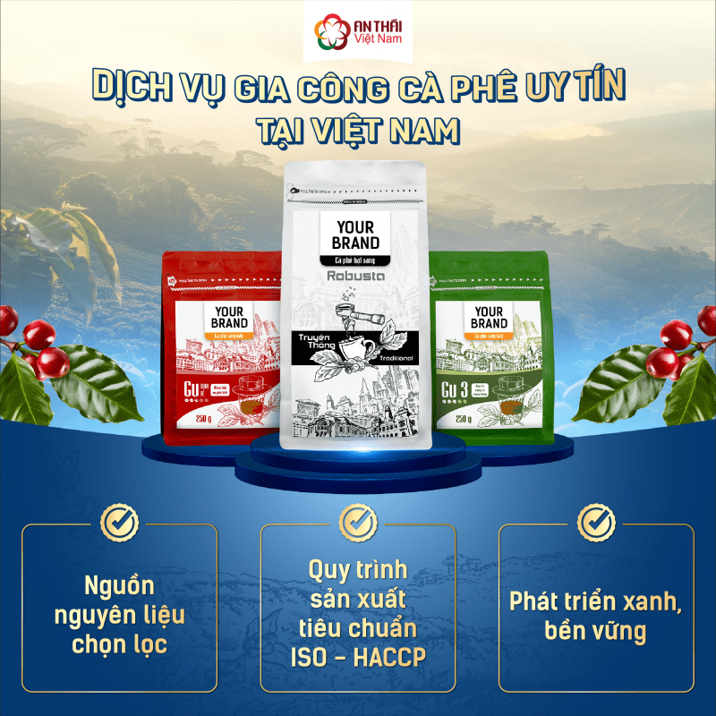 20240930142756081 dv gia cong
