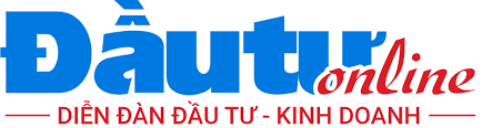 baodautu 1