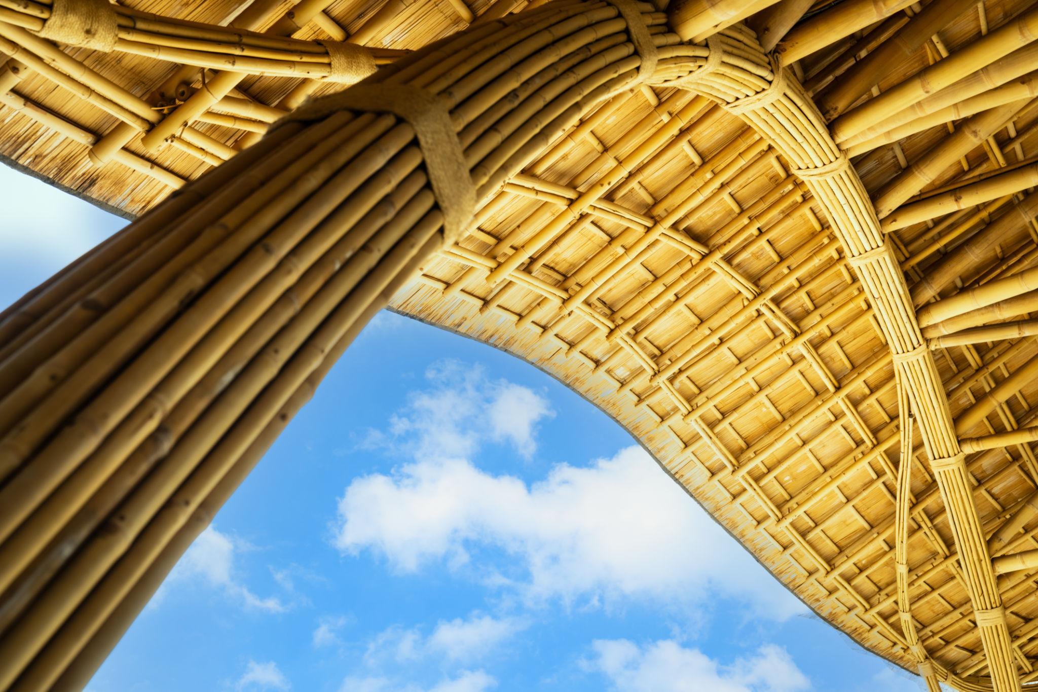 tu duy tuan hoan va phong cach song ben vung hoi cho VIBE 2026 3