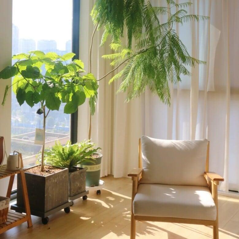 tu duy tuan hoan va phong cach song ben vung hoi cho VIBE 2026 8