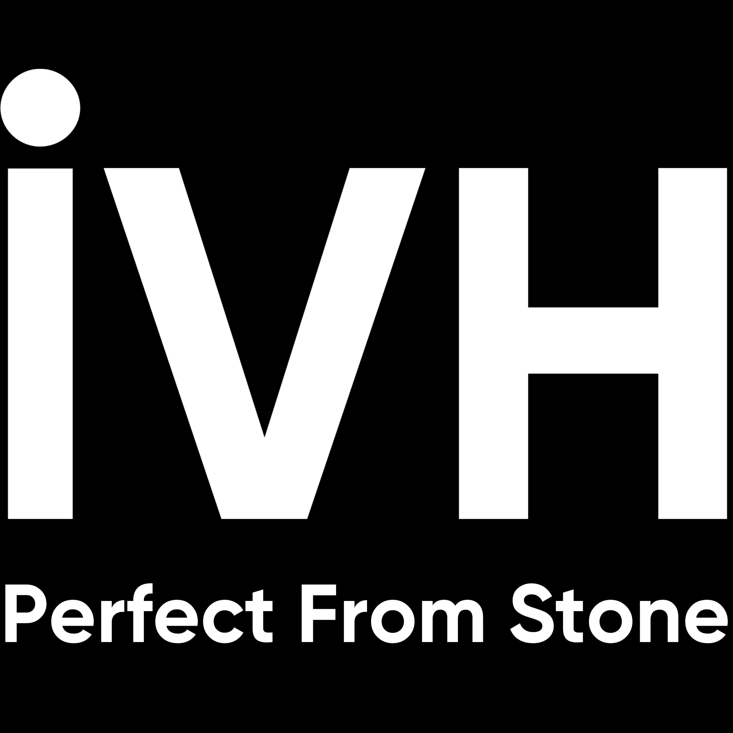 CÔNG TY TNHH INTEC VIỆT NAM HOLDINGS Logo