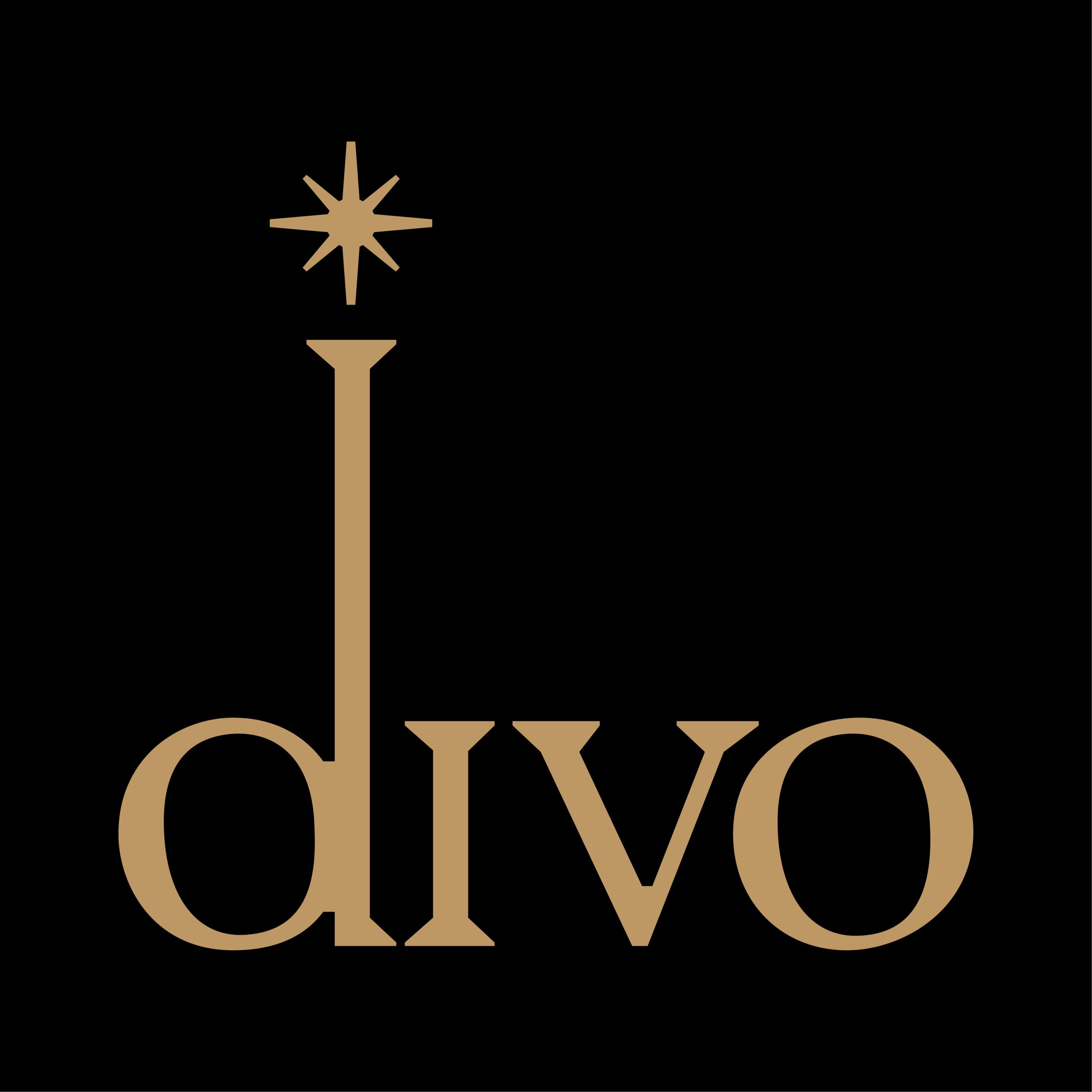 DIVO CERAMICA Logo