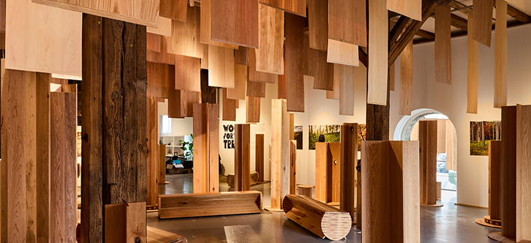 Exhibitor Main Image 2