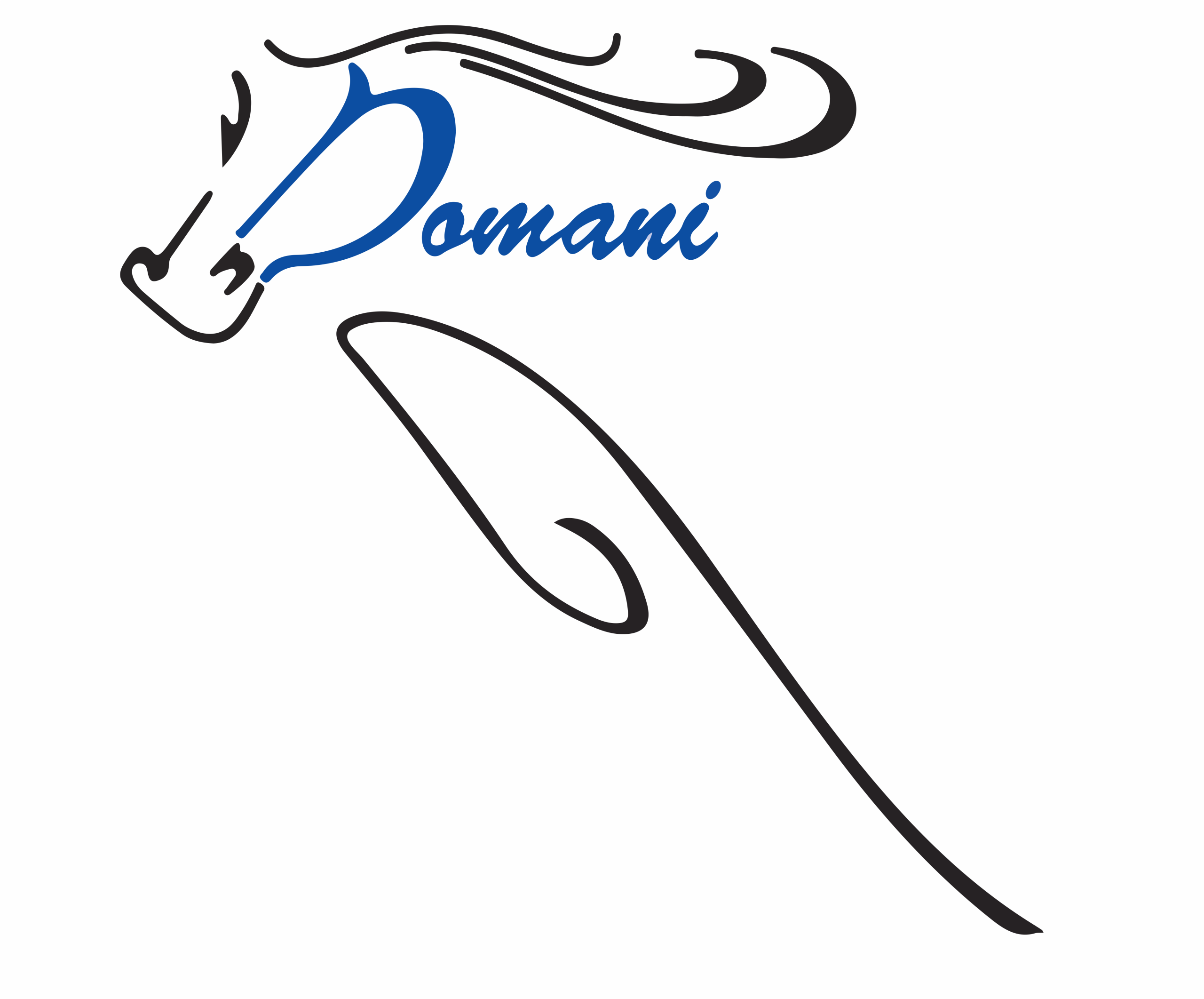CÔNG TY TNHH SX TM DOMANI Logo