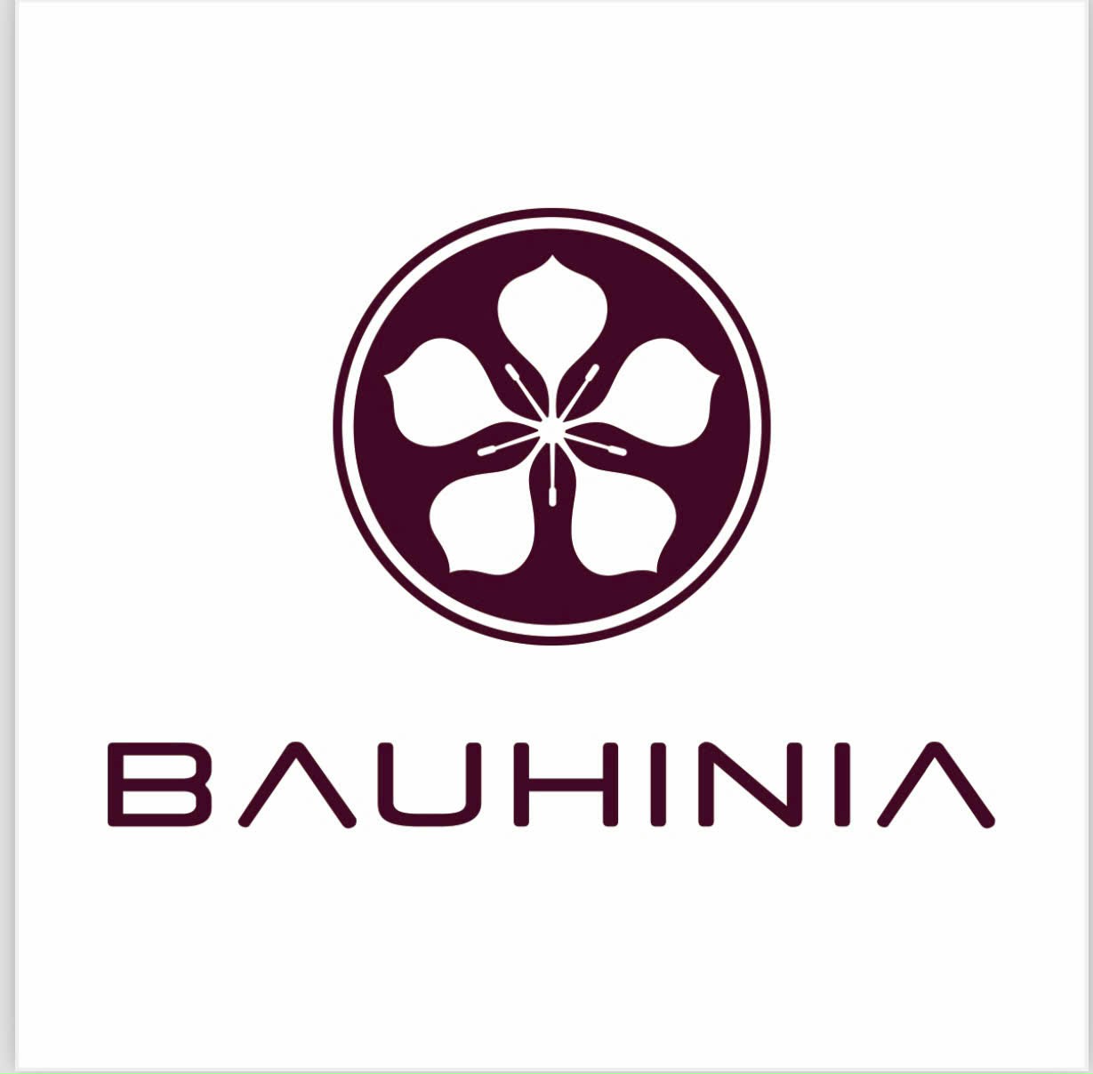 CÔNG TY TNHH BAUHINIA DECORATION MATERIALS VIỆT NAM Logo